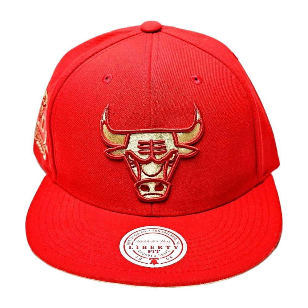 CHICAGO BULLS 40th ANNIVERSARY HAT CHROME ELEMENTS VTG MITCHELL & NESS NEW!